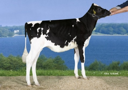 K&L SATURNO POLLY - FILHA.jpg