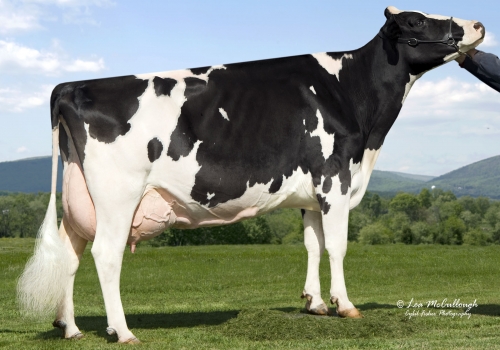 WINDY KNOLL VIEW PLEDGE (EX-95) - AVÓ.jpg