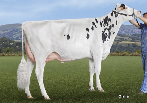 CID SHOPPING MAIKA (VG-85) - FILHA.jpg