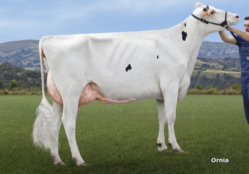 LOS TEJOS SHOPPING SOPHI (GP-84) - FILHA.jpg