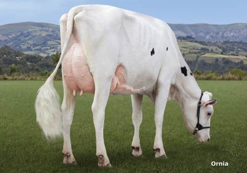 LOS TEJOS SHOPPING SOPHI (GP-84) - FILHA_UBERE.jpg