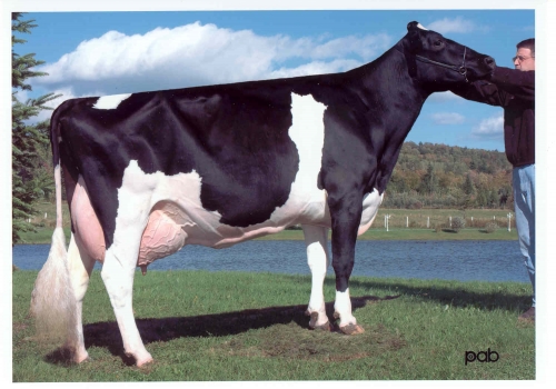 LYLEHAVEN FORM LAURA ET (EX-94) 4ª MÃE.jpg