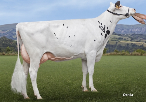 VEIGUEIRO SHOPPING SOTA (GP-83) - FILHA.jpg