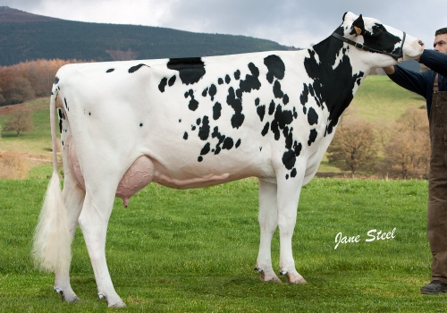 BEHI-ALDE SIETE 5319 - FILHA.jpg