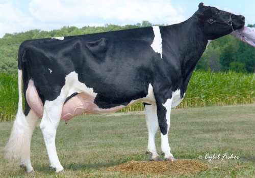 MAYERLANE SA DURHAM MAE (EX-92)  - MÃE.jpg