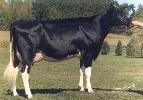 WAUREGAN RUDOLPH ELLYMAE (EX-90) IRMÃ COMPLETA DA MÃE.jpg