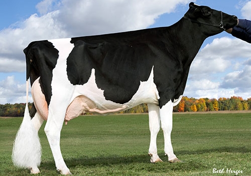 JERLAND TALENT GLAMOUR SUDOKU (EX-90) - FILHA.jpg