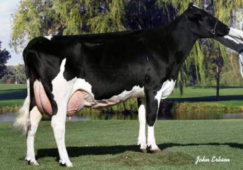 REGANCREST HHF MERRILL ET (MB-86) AVÓ.jpg