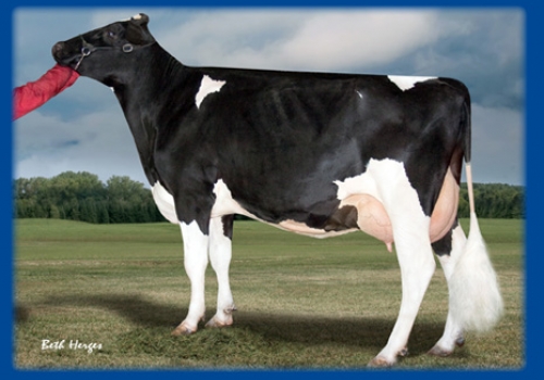 SIEMERS DAMION GLAM SUDOKU 8669 (EX-92) - FILHA.jpg