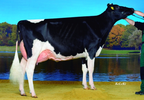 FILHA DE TIMBERLAND.jpg