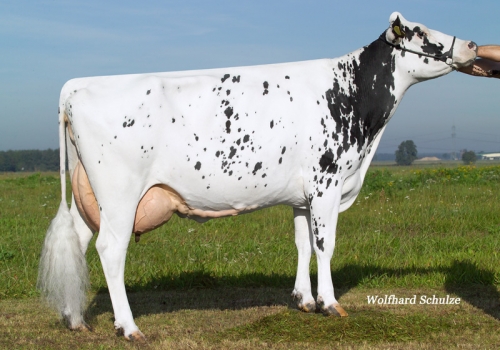 FILHA DE TIMBERLAND_3_NEBRASKA.jpg