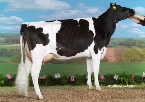 FILHA DE TIMBERLAND_5_SAMBESI_MB-85.jpg