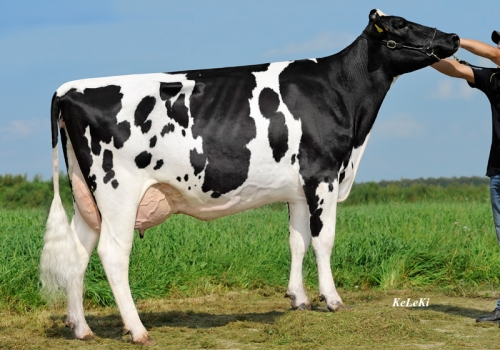 FILHA DE TIMBERLAND_6_SASKIA.jpg