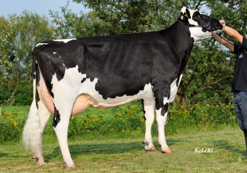 FILHA DE TIMBERLAND_7_SUZI.jpg