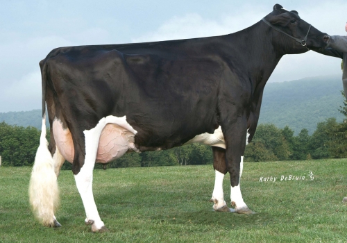 MISS LEE MAJESTIC (EX-91) - AVÓ.jpg