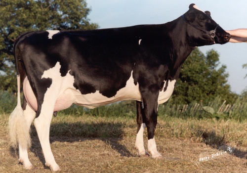 MISS MASON MALLORY (EX-92).jpg