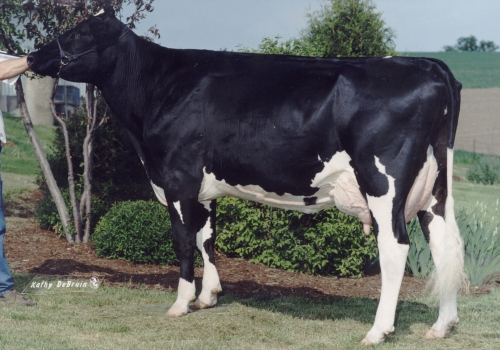 MISS MAUI MIRACLE (EX-91).jpg