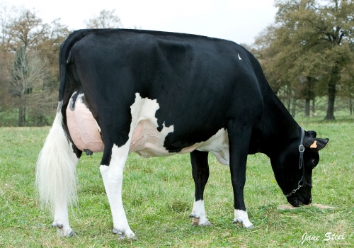 BEHI-ALDE TOJO NISU - FILHA (2).jpg