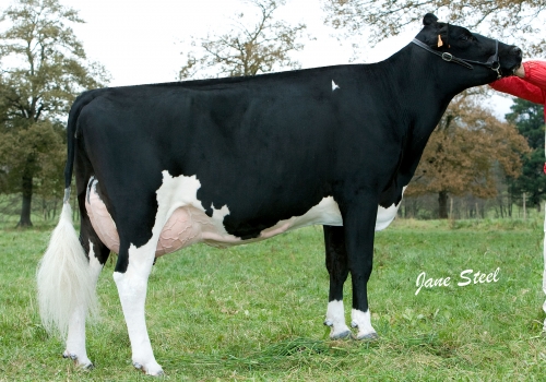 BEHI-ALDE TOJO NISU - FILHA.jpg