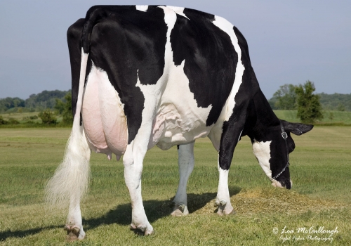 RALMA DURHAM FIREBALL ET (EX-92) IRMÃ DA AVÓ.jpg