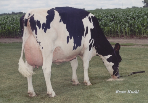 RALMA JUROR FAITH (EX-91) - 3ª MÃE.jpg