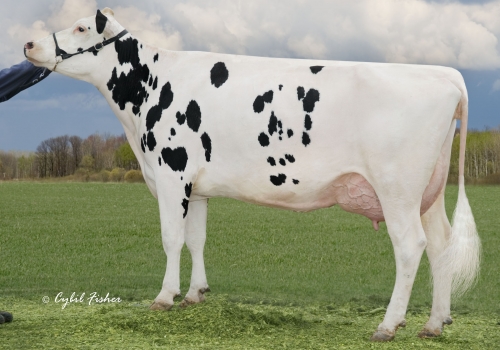 A-L-H DESTINY (MB-87) - AVÓ.jpg