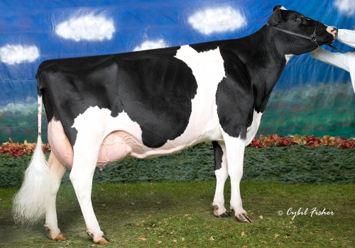 MARKWELL DURHAM DAISY (EX-92) - 3ª MÃE.jpg