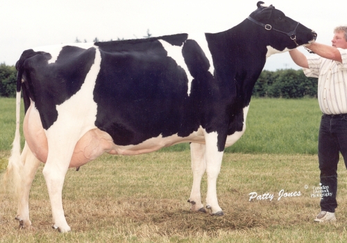 MARKWELL LUKE RAPTURE (EX-92) - 4ª MÃE.JPG