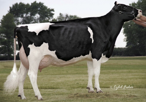 SCIENTIFIC DEBUTANTE RAE ET (EX 92) - AVÓ (3).jpg