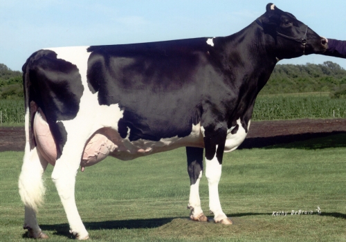 SCIENTIFIC BEAUTY RAE ET *RC (EX-90)_BISAVÓ