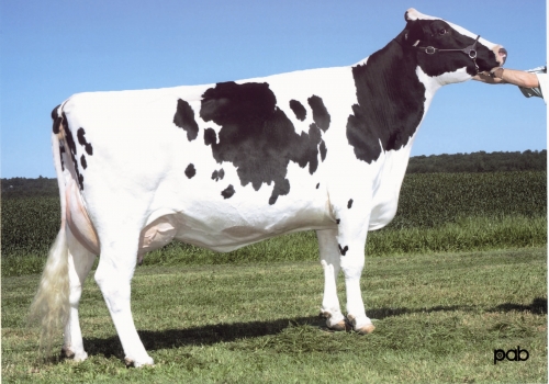 GLEN DRUMMOND SPLENDOR ET *RC (VG-86)_BISAVÓ