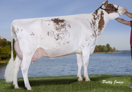 IRMA MATERNA SOUVENIR.jpg