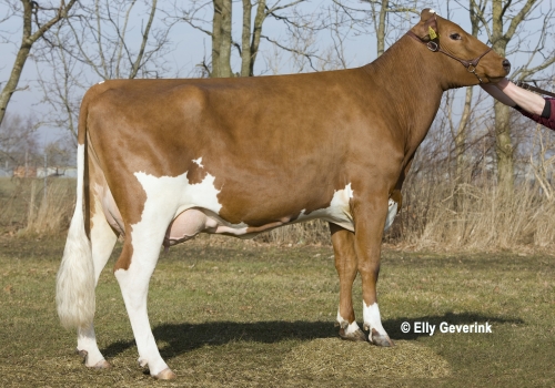 VR Balfa daughter no. 38526-3511 from Niels H N Nielsen_Nykøbing M.jpg