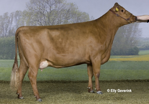 VR Cigar 19578-2073 from Henrik Jespersen_Ejby.jpg