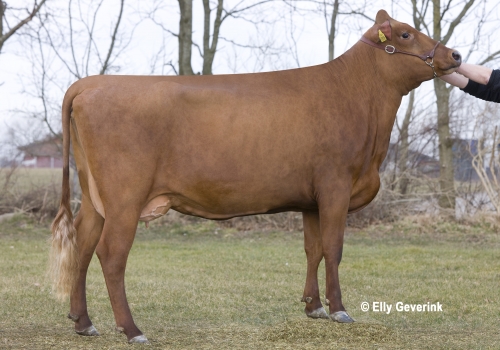 VR Cigar 53875-1918 from Benny Jespersen_Aulum.jpg