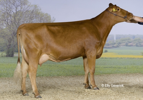 R Facet 8977-02695 Kim Gohr Nielsen_Ringkøbing.jpg