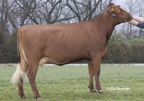 R Facet 34768-3616 fra IS Kokkenborg_Dronninglund.jpg