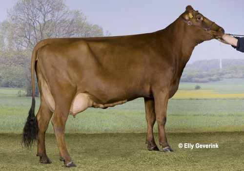 R Facet 53786-02293 fra Marco Arensmann_Aulum.jpg