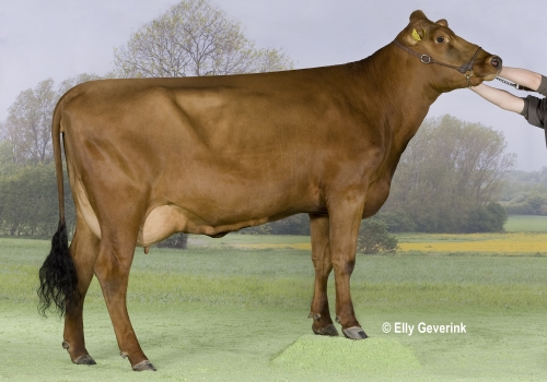 R Facet 53786-2293 Marco Arensman_Aulum.jpg