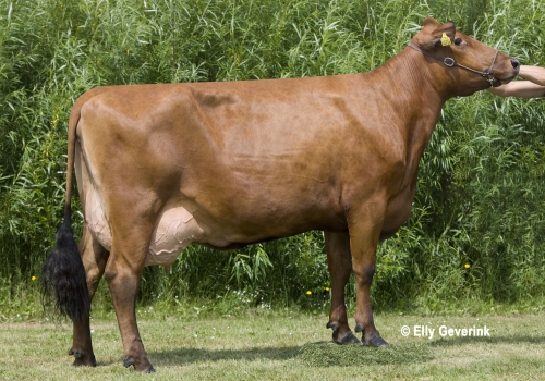 R Facet 100690-0734 fra Finn Bach_Fjerritslev.jpg