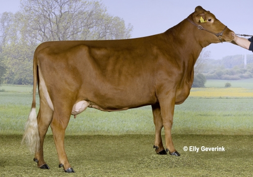 R Fastrup 16296-01545 fra Niels Jeppesen_Sakskøbing.jpg