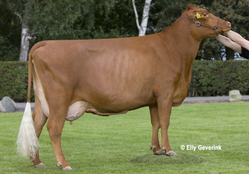 R Fastrup daughter 16296-1545 from Niels Jeppsen_Sakskøbing.jpg