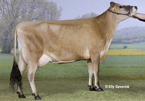 DJ Broiler_DAUGHTER2.jpg