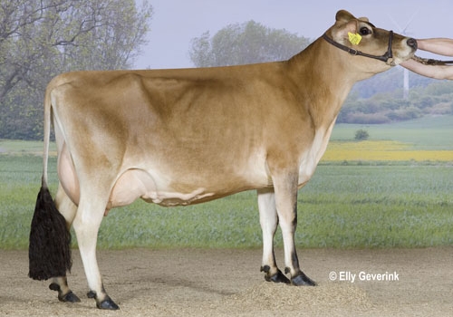 irmã hulk Kim Christensen.jpg