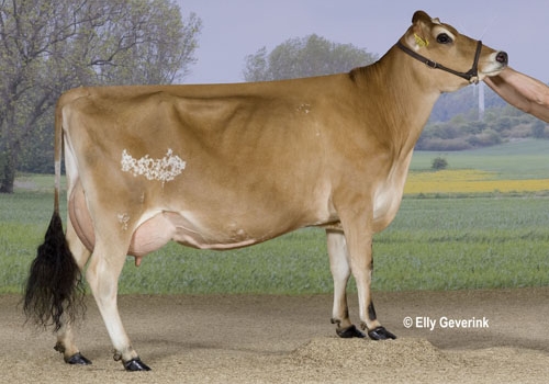 irmã hulk Lars Hansen.jpg