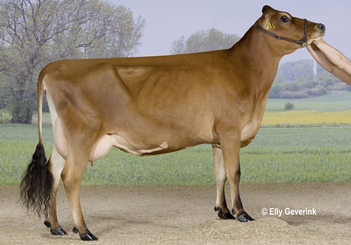 irmã hulk Søren Niss.jpg