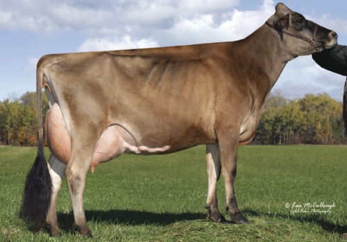 IRMA MASTBULLE_3_EX-91.jpg