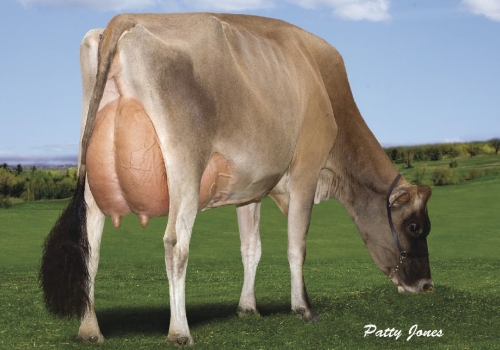 IRMA MASTBULLE_4_EX-91.jpg