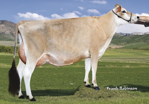 IRMA MASTBULLE_B+82.jpg