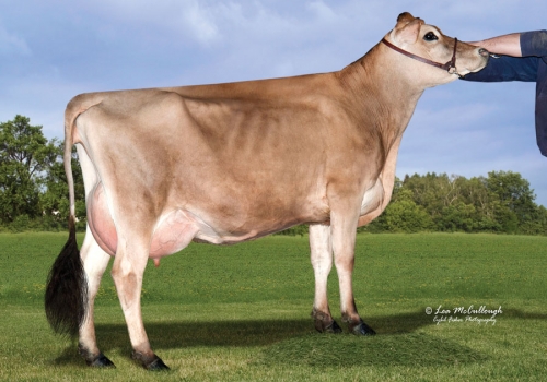 FILHA DE SPIRIT_2.jpg